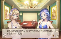 姐姐的宠爱《姬魔恋战纪》惊喜的礼物