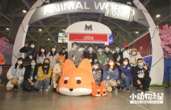 线下漫展火爆不断，《小动物之星》首曝三测信息