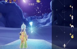 光遇星光沙漠玫瑰在哪 光遇星光沙漠玫瑰位置