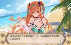 《姬魔恋战纪》夏日偶像派对！